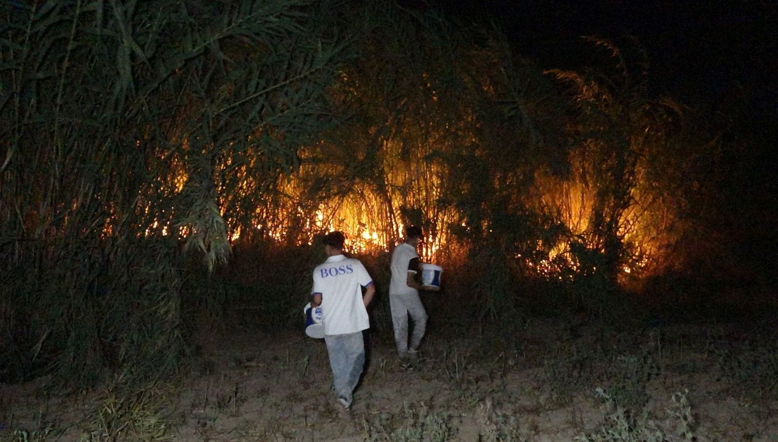 antalyada yangin panigi yerlesim yerlerine yaklasti n6eHWsCP