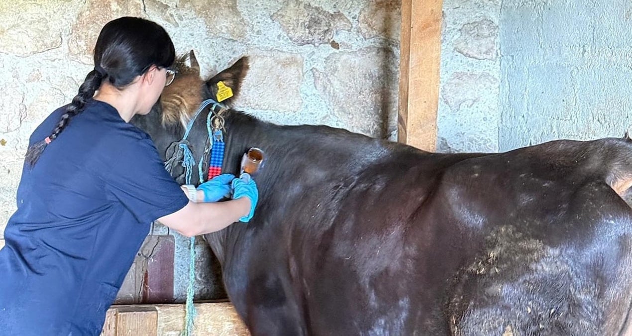 kastamonuda sap alarmi 69 koy karantinaya alindi xiIhykPu