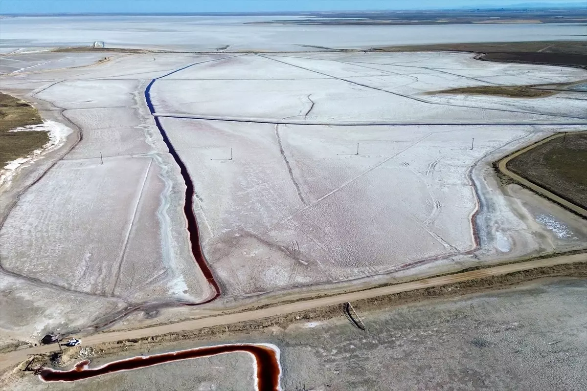 kuruyan goller yaban hayatini tehdit ediyor CfTRfxsg