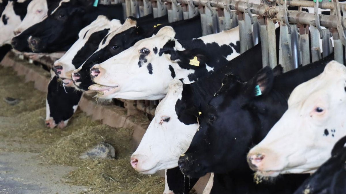 tuikten iyi haber artis yasanarak 17 milyonu gecti btecLU7e