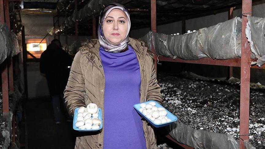 devlet destegiyle kurdugu tesiste 75 ton mantar uretiyor D9688lem.jpg