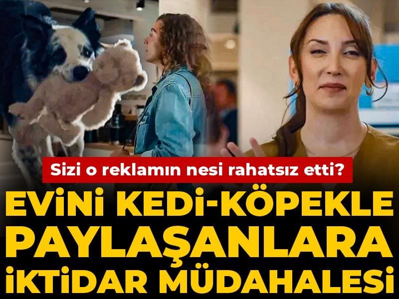 Evlerinde Kedi ve Köpek Besleyenlere Hükümet Müdahalesi: Reklamda Ne Var?