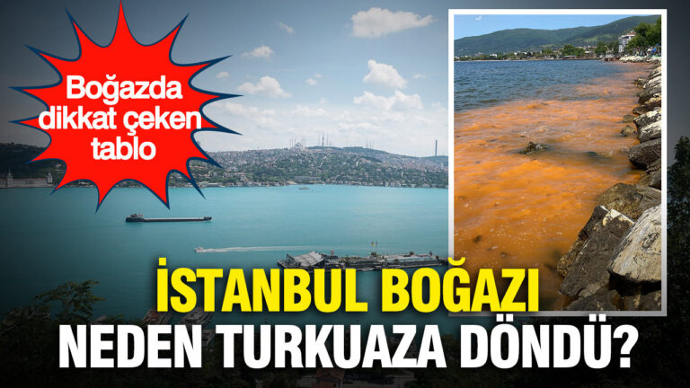 istanbul-bogazi-neden-turkuaza-dondu-arkasindaki-gercek-sasirtti-JLlJmYav